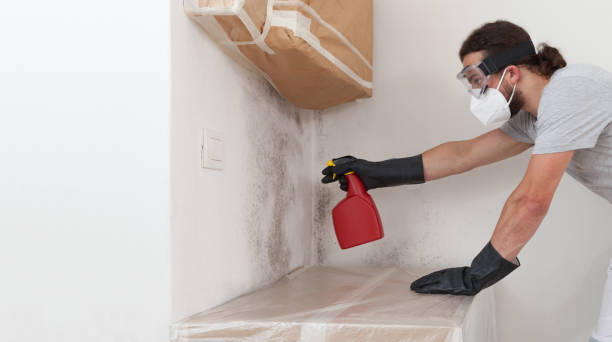 Professional Basement Mold Removal technician working in Lawrenceville, NJ