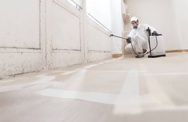 24/7 Emergency Basement Mold Removal experts in Lawrenceville, NJ