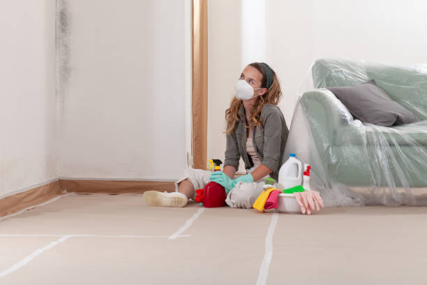 Reliable Basement Mold Removal contractor in Lawrenceville, NJ by Cheap Mold Removal